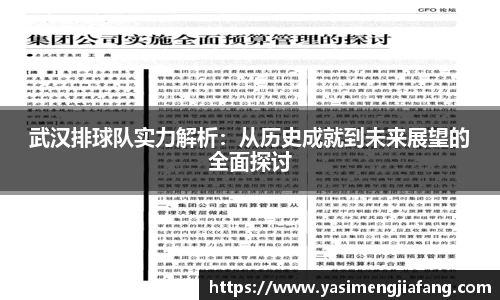 武汉排球队实力解析：从历史成就到未来展望的全面探讨